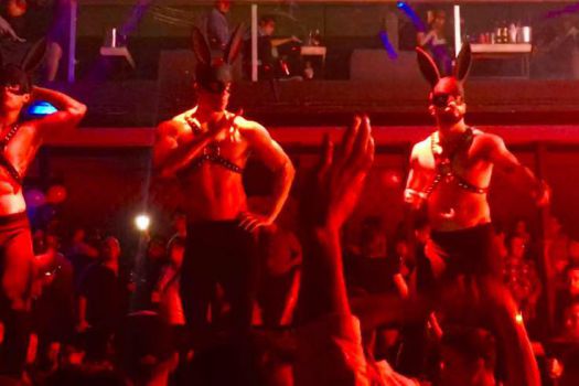 Babel, Guadalajara, Mexico