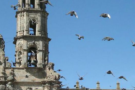 Basilica of Our Lady of Zapopan, Guadalajara