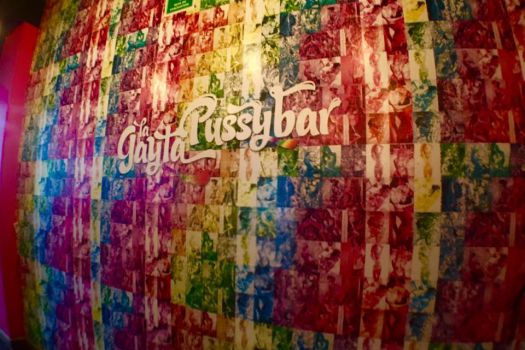 Pussy Bar, Mexico City, Mexico