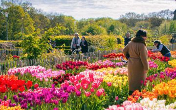 Gay travel guide for Sweden