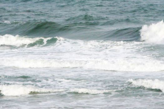 Punta Chame, Panama City