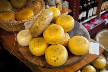 Hungry Birds Food Tours